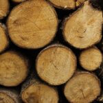 wood, stump, nature, forest, log, pattern, plant, brown, prism, timber, background, year rings, burner, stubs, firewood, year ring, bark, autumn, iphone wallpaper